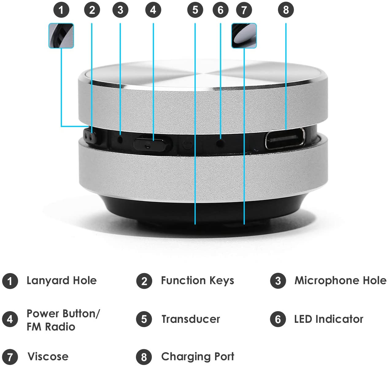 The Hummingbird Speaker